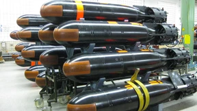 Verteidigungsausgaben auf 46,1 Milliarden gestiegen