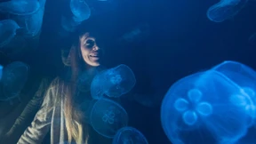 Wie geht klimaneutrales Theater?