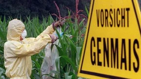 „Greenpeace hat versagt“