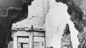 Der Stachel im Fleisch