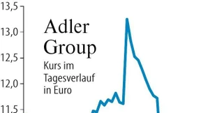 Aktienkurs von Adler bricht ein