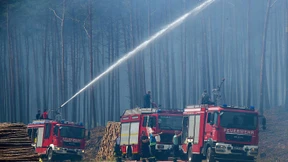 „Größter Waldbrand in der Geschichte von Mecklenburg-Vorpommern“