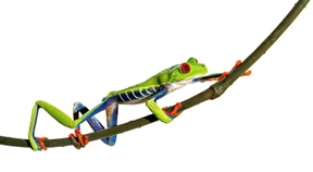 Spannungsvolle Verhältnisse