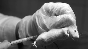 Kommt das bioethische Armageddon?