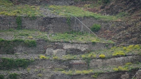„Der Weinbau befindet sich in einem Strukturwandel“