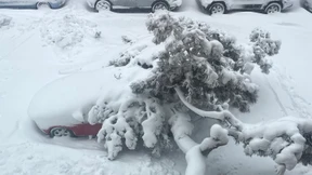 New York geht im Schnee unter