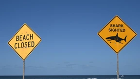 Filmte eine GoPro den Haiangriff auf das Schweizer Paar?