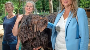 Hinninger-Urteil: Mende lehnt Widerspruch ab