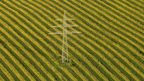 Deutsche Biobauern haben nichts vom großen Öko-Appetit
