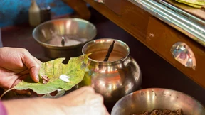 Betelnuss – die Volksdroge Südasiens