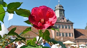 Gartenkultur mit französischem Akzent