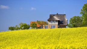 Deutsche ziehen wieder häufiger aufs Land