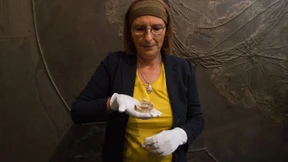 Scheidung auf Balkanisch