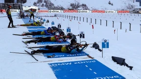 Altersschwacher Grenzadler