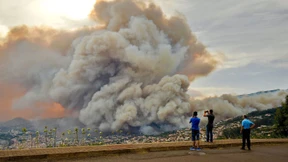 Drei Tote bei Waldbränden auf Madeira