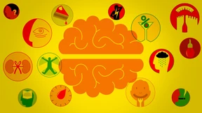 17 Wege zum gesunden Gehirn