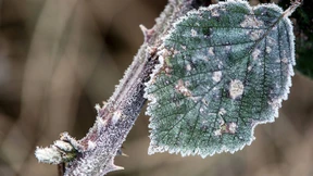 Frost bis zu minus 20 Grad am Wochenende