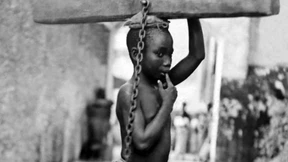 Die Anti-These zum Menschen