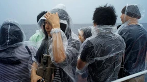 Kegelrobben in Plastiktüten  