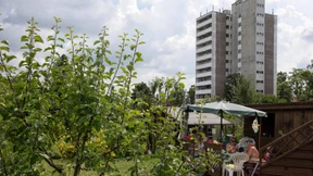 Wohnungen versus Gärten