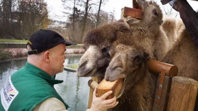 „Auch ich bin manchmal ein Fluchttier“