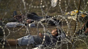 Ungarn baut Zaun an der Grenze zu Kroatien