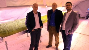 Unter Londons Straßen wächst jetzt Gemüse