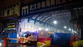 Kritik an statistischer Analyse zum Corona-Ursprung