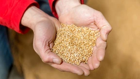 Darum geht es im „Race to Feed the World“