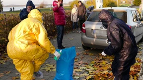 Erster Fall von Vogelgrippe in Sachsen