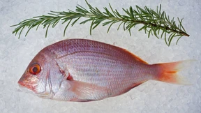 So schützen Sie Ihr Gehirn vor Alzheimer