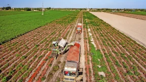 Wohlstand durch mehr Regen in China