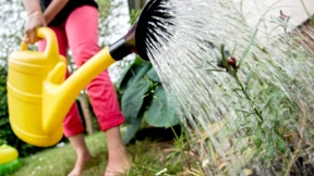 Gießen ohne Abwassergebühr