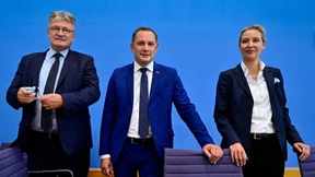 Meuthen fordert Austausch der gesamten AfD-Spitze