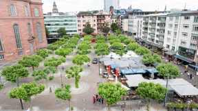 „Den wirklichen Paulsplatz hervorheben“