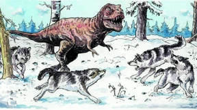 Humanität und Härte