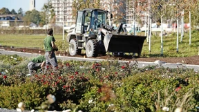 Biotop statt Blümchenschau
