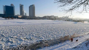 Litauen will 2015 den Euro einführen