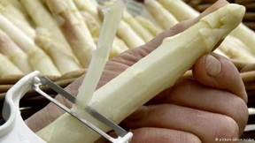 Spargelpreis könnte neues Zehnjahreshoch erreichen