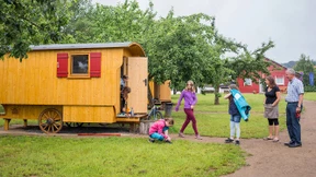 Einladung zum Schäfer-Stündchen