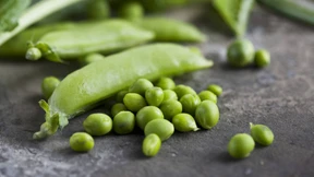 Der in die Ferne schweift