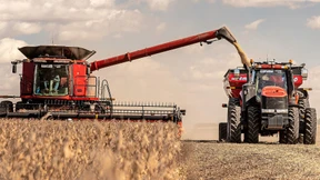 Mähen, Säen, Sensationen