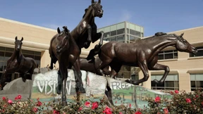 Wer hat Angst vor Kugelmenschen?