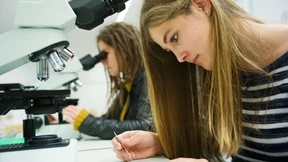 Studieren, worauf man Lust hat