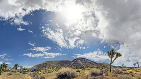 Ein eigenes Land für Flüchtlinge