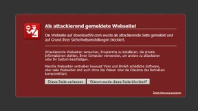 Internetbetrüger zu hohen Haftstrafen verurteilt