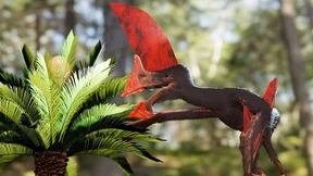 Komplettes Fossil eines Flugsauriers rekonstruiert