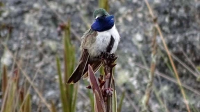 Gute Nachrichten, die Sie verpasst haben dürften