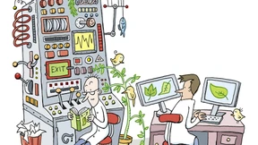 Träume einen kleinen Traum