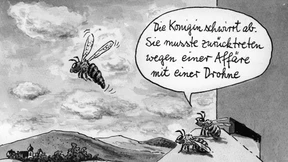 Union und FDP wollen Steinbrück befragen